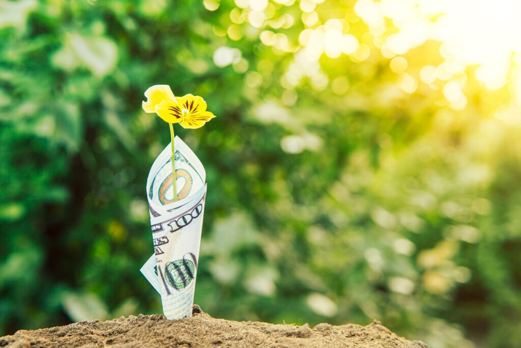 Unleash Gritty Sprout Power: Cultivate Resilience for Thriving Investment Growth