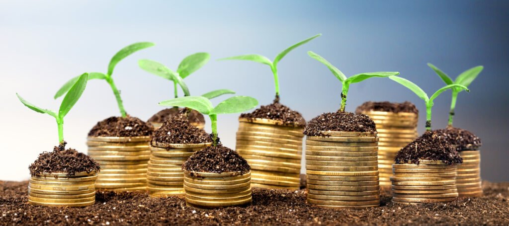 Sprouts Power!  Part of a Growth Strategy.